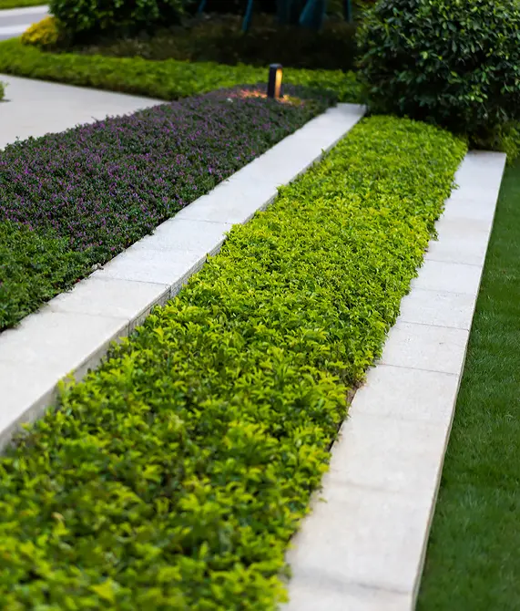 landing-page-concrete-landscape-barrier